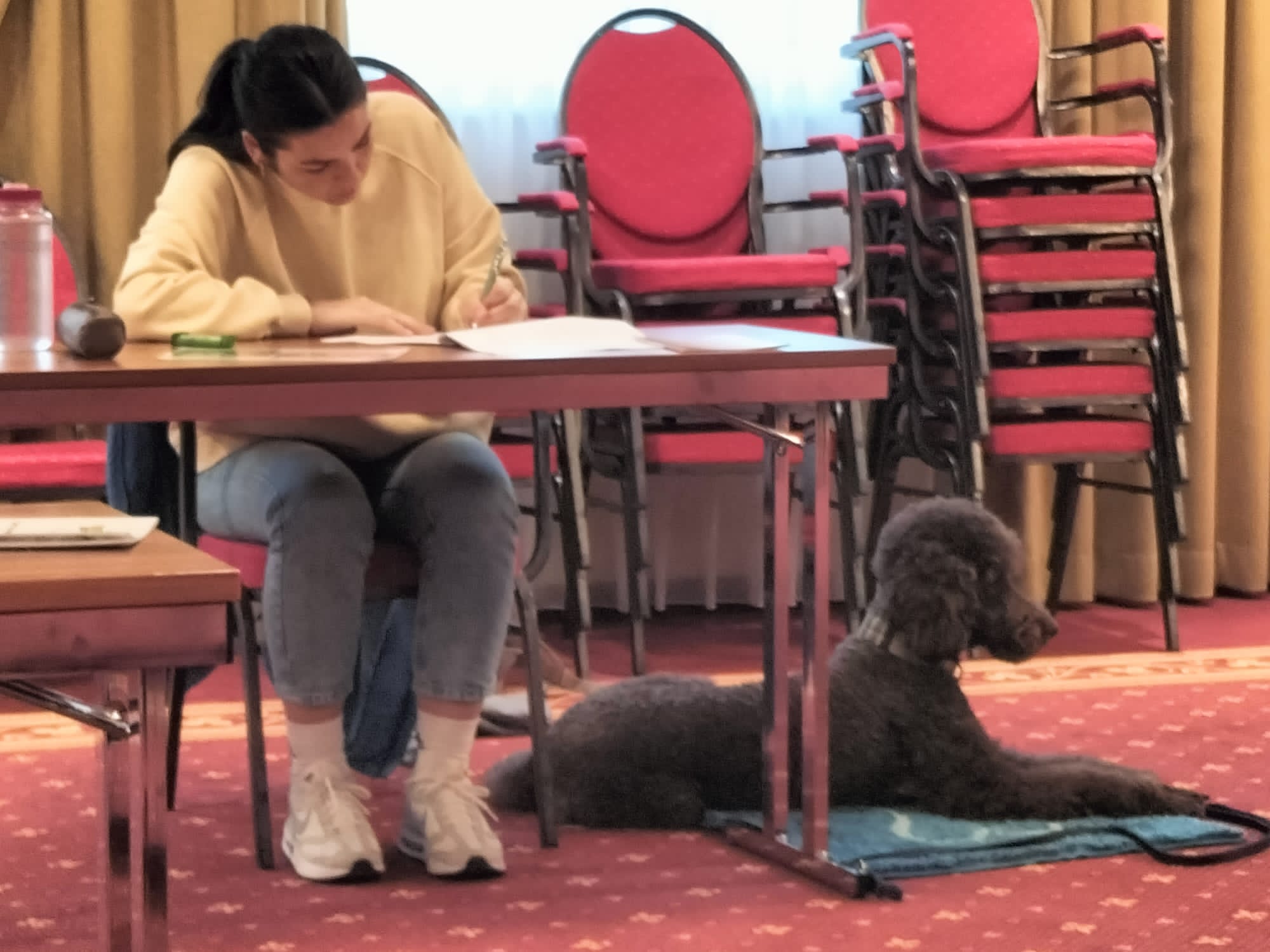 PHOTO-2023-04-30-15-05-09 (1)